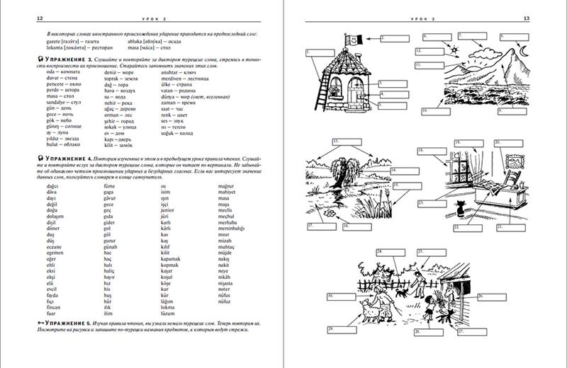 Турецкий язык. Самоучитель для начинающих
