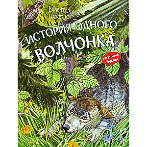 История одного волчонка. Рассказ. Книжная карусель