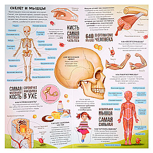 Книжка-трансформер. Анатомия