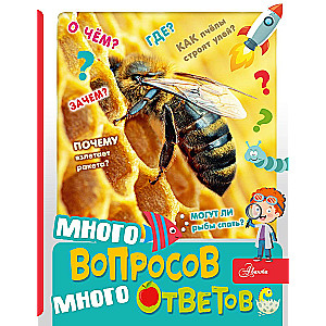 Много вопросов, много ответов