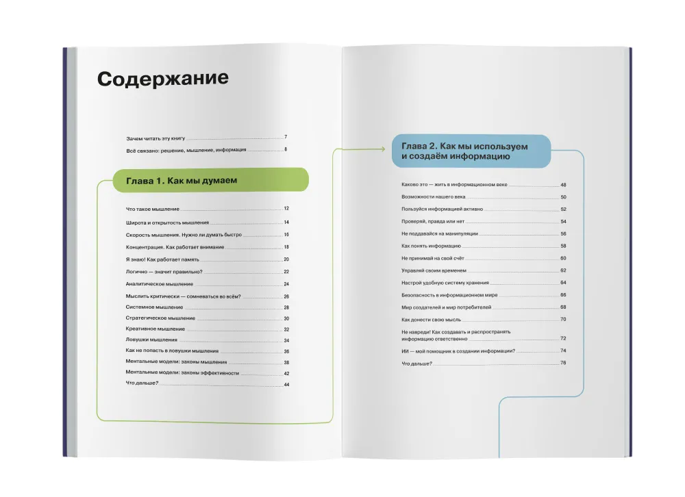 Как думать и выбирать. Визуальная инструкция для головы в инфографике из серии «Чему не учат в школе» для детей и подростков