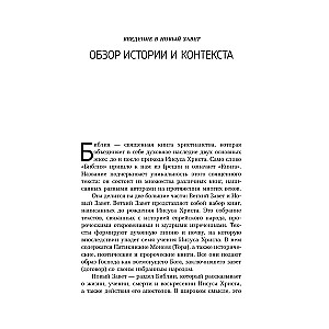 Новый Завет: с пояснениями и комментариями. Тайны Древнего Писания, разгадки зашифрованных символов и ключевые концепции Нового Завета