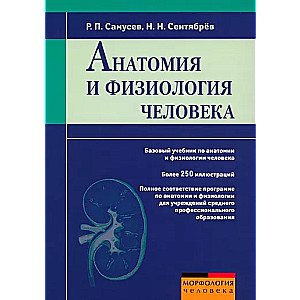 Анатомия и физиология человека