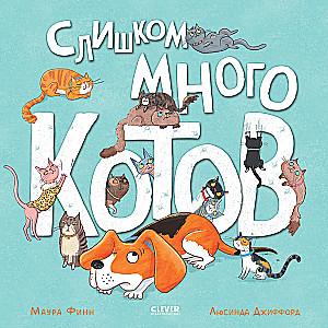 Слишком много котов