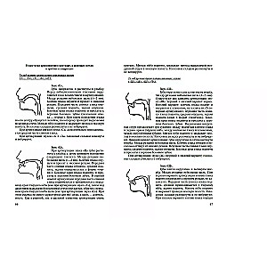 Логопедия. Теория и практика