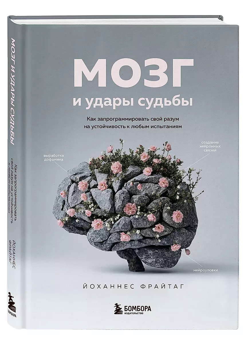 Мозг и удары судьбы. Как запрограммировать свой разум на устойчивость к любым испытаниям