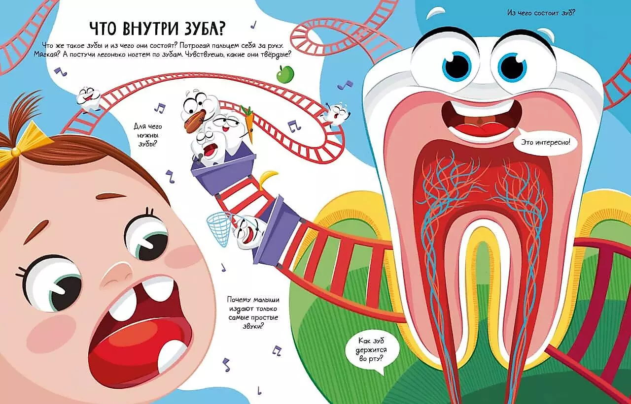 Всё о зубах. Открывай и изучай!
