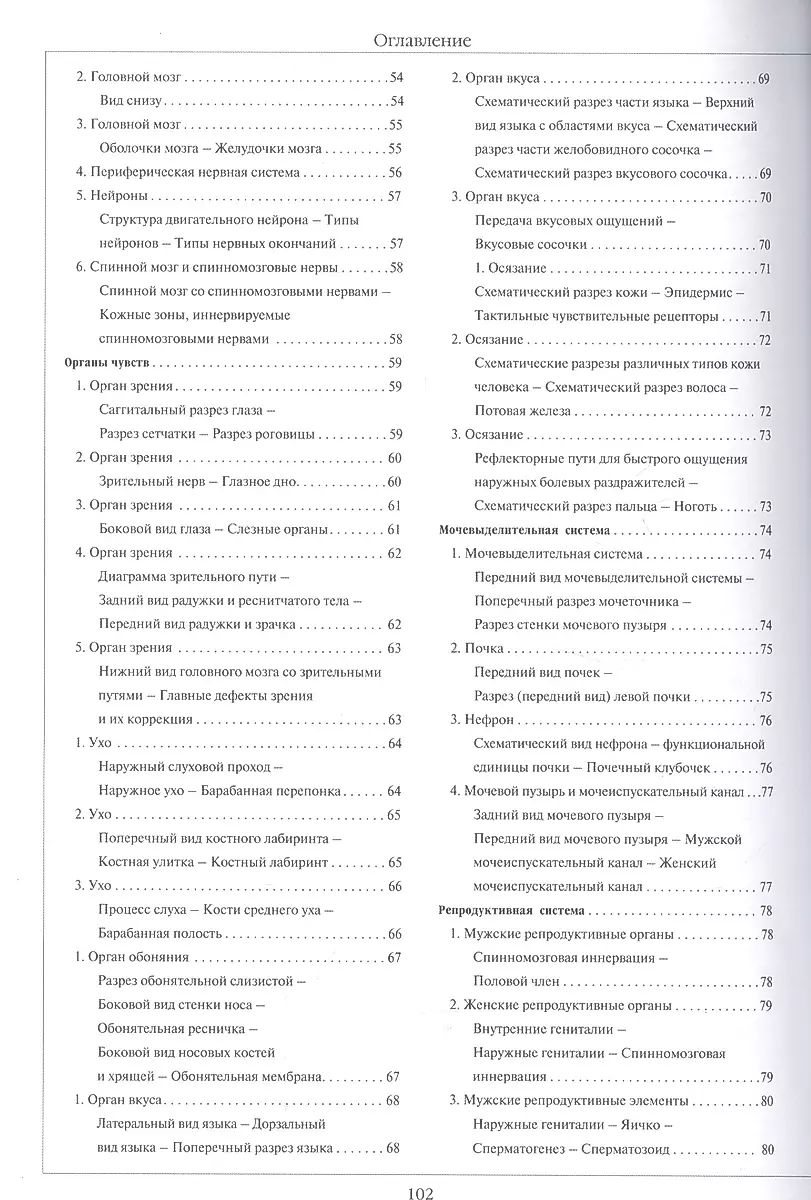 Атлас анатомии человека