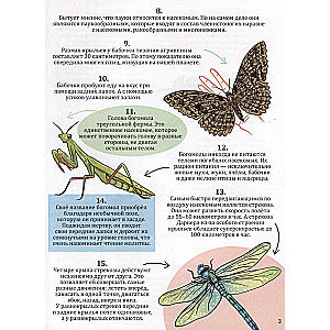 365 фактов о насекомых и пауках