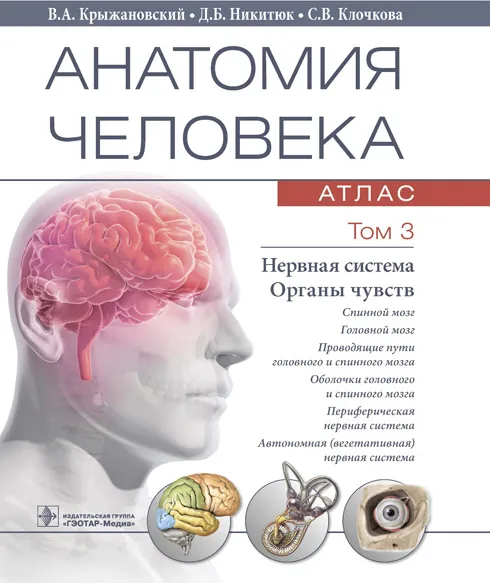 Анатомия человека. Атлас в 3-х томах. Том 3. Нервная система. Органы чувств