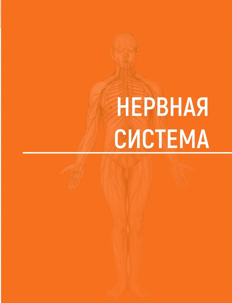 Анатомия человека. Атлас в 3-х томах. Том 3. Нервная система. Органы чувств