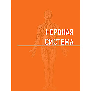 Анатомия человека. Атлас в 3-х томах. Том 3. Нервная система. Органы чувств