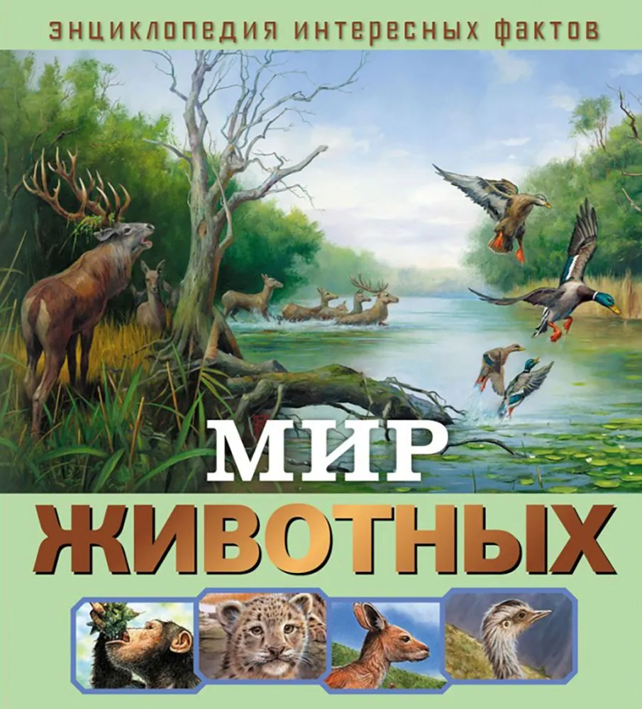 Мир животных