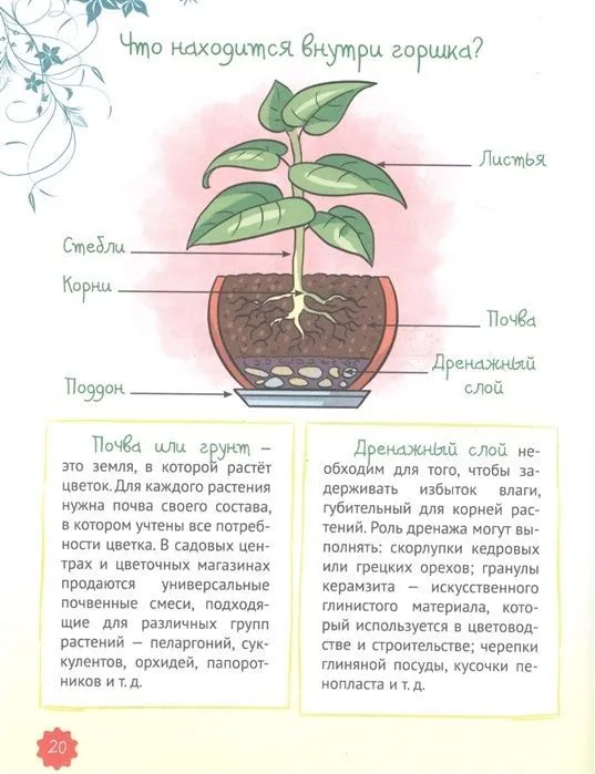 Секреты современной девчонки