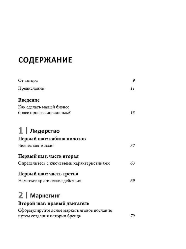 Как вырастить свой бизнес: План из 6 шагов, который поможет фирме набрать высоту