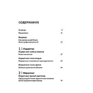 Как вырастить свой бизнес: План из 6 шагов, который поможет фирме набрать высоту