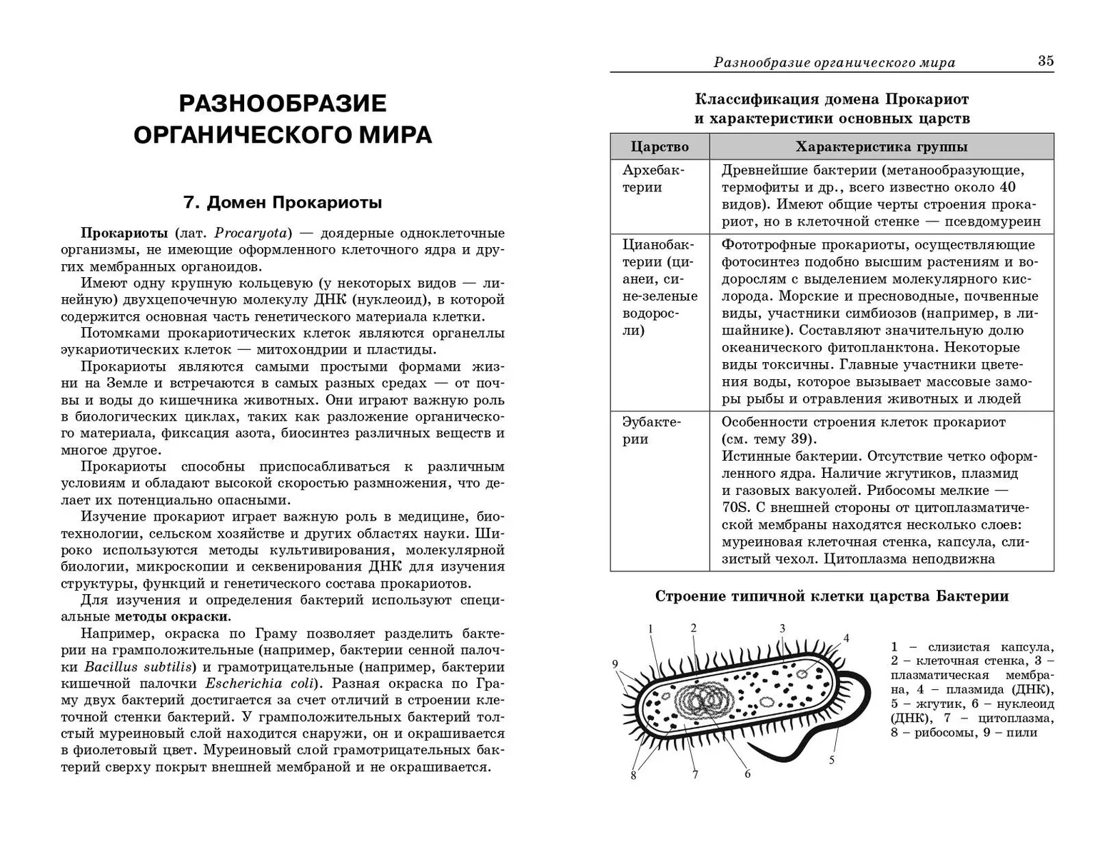 Биология: наглядно и доступно