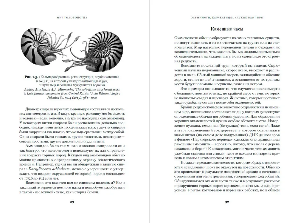 Осьминоги, каракатицы, адские вампиры. 500 миллионов лет истории головоногих моллюсков