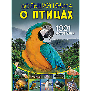 Большая книга о птицах. 1001 фотография