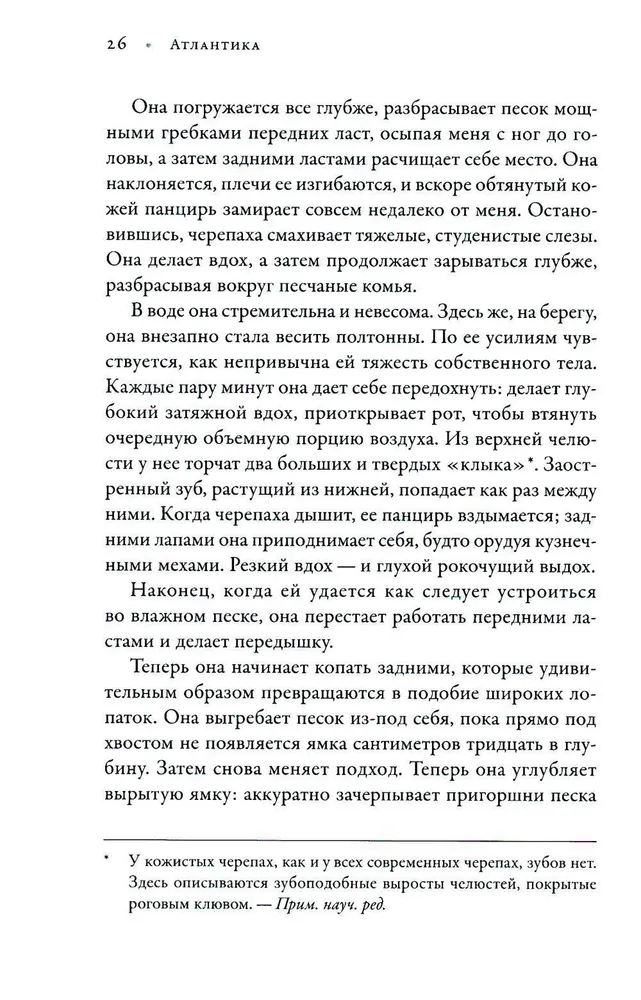 В погоне за черепахой. Путешествие длиной в 200 миллионов лет