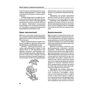 Энциклопедия народной медицины и натуропатии. Профилактика и лечение заболеваний народными средствами в домашних условиях