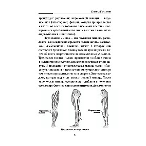 Практическая кинезиология. Упражнения для мышц-халтурщиц