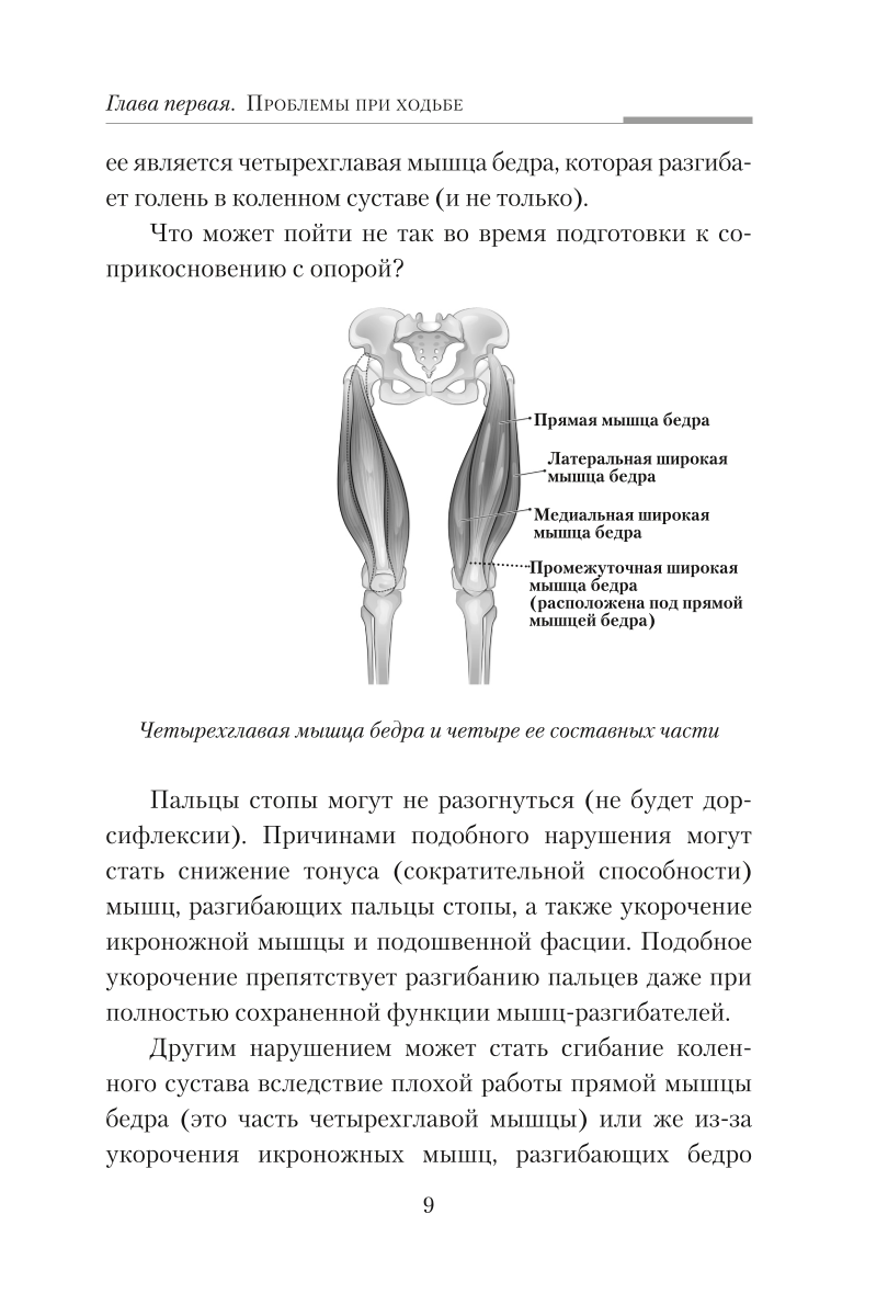 Практическая кинезиология. Упражнения для мышц-халтурщиц