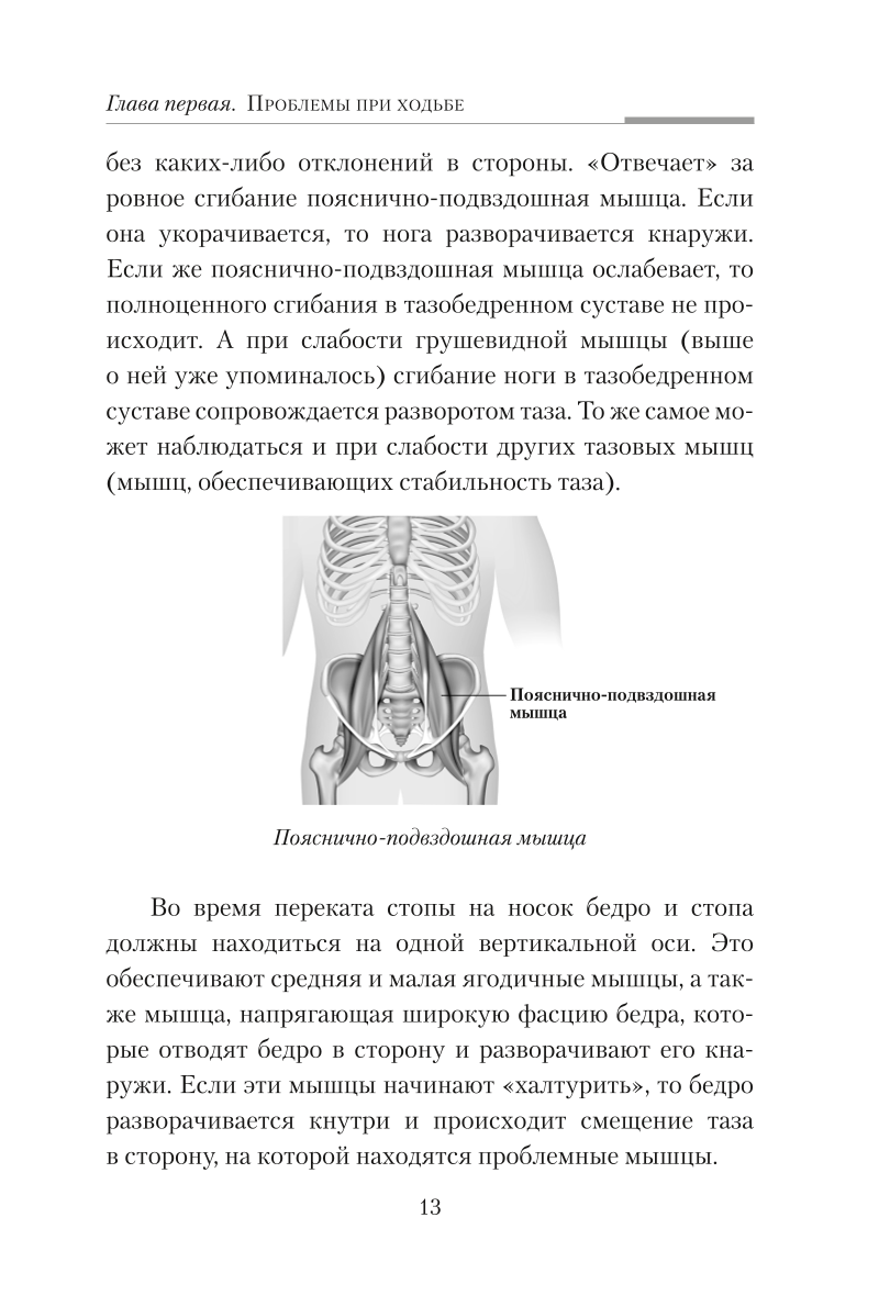 Практическая кинезиология. Упражнения для мышц-халтурщиц