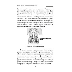 Практическая кинезиология. Упражнения для мышц-халтурщиц