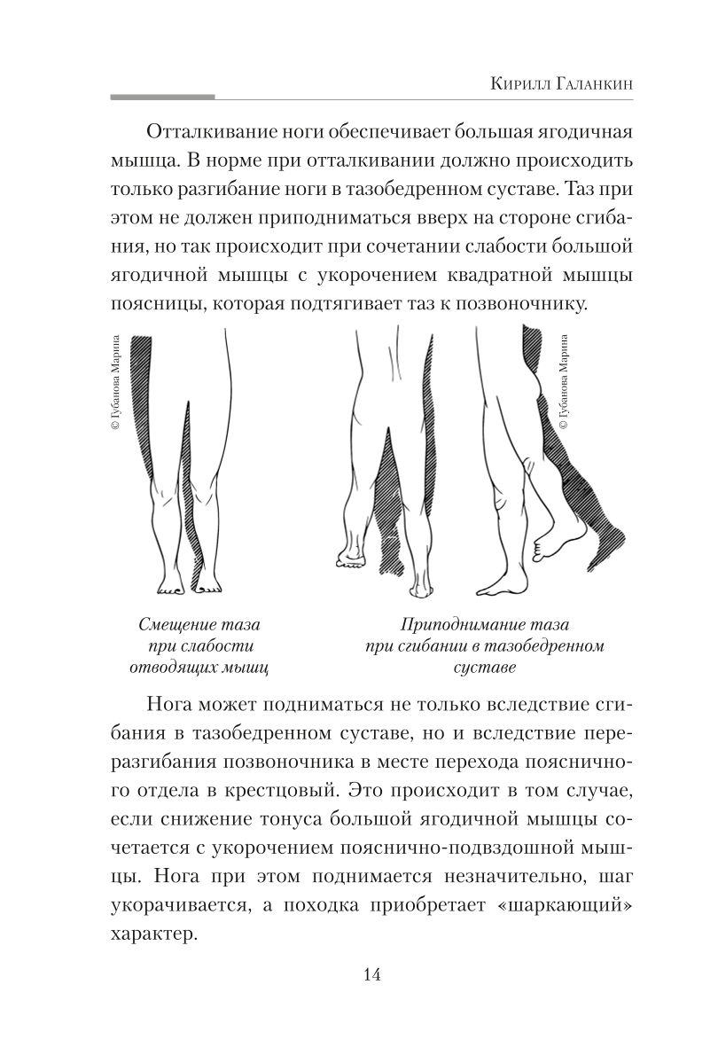 Практическая кинезиология. Упражнения для мышц-халтурщиц