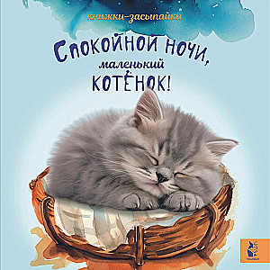 Спокойной ночи, маленький котенок!