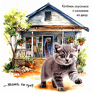 Спокойной ночи, маленький котенок!