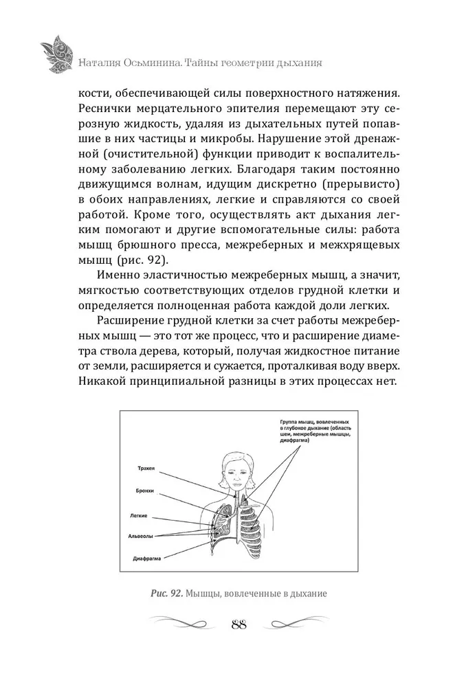 Geheimnisse der Atemgeometrie. Wie man atmet, um Gesundheit, Jugend und Schönheit zu bewahren