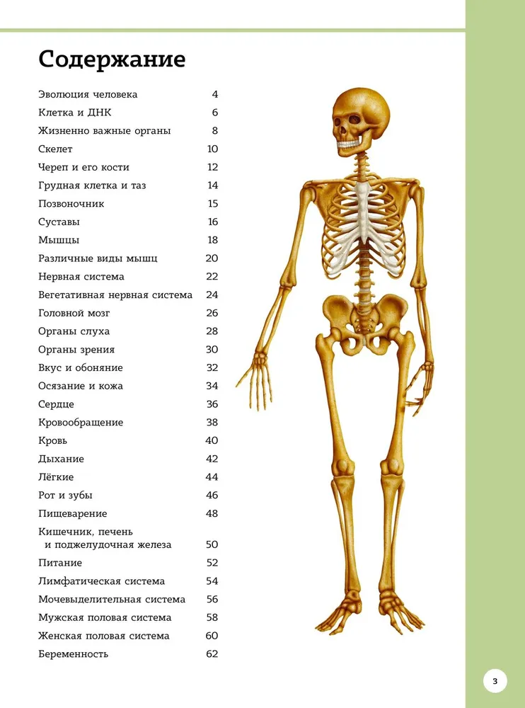 Der erste Atlas der menschlichen Anatomie