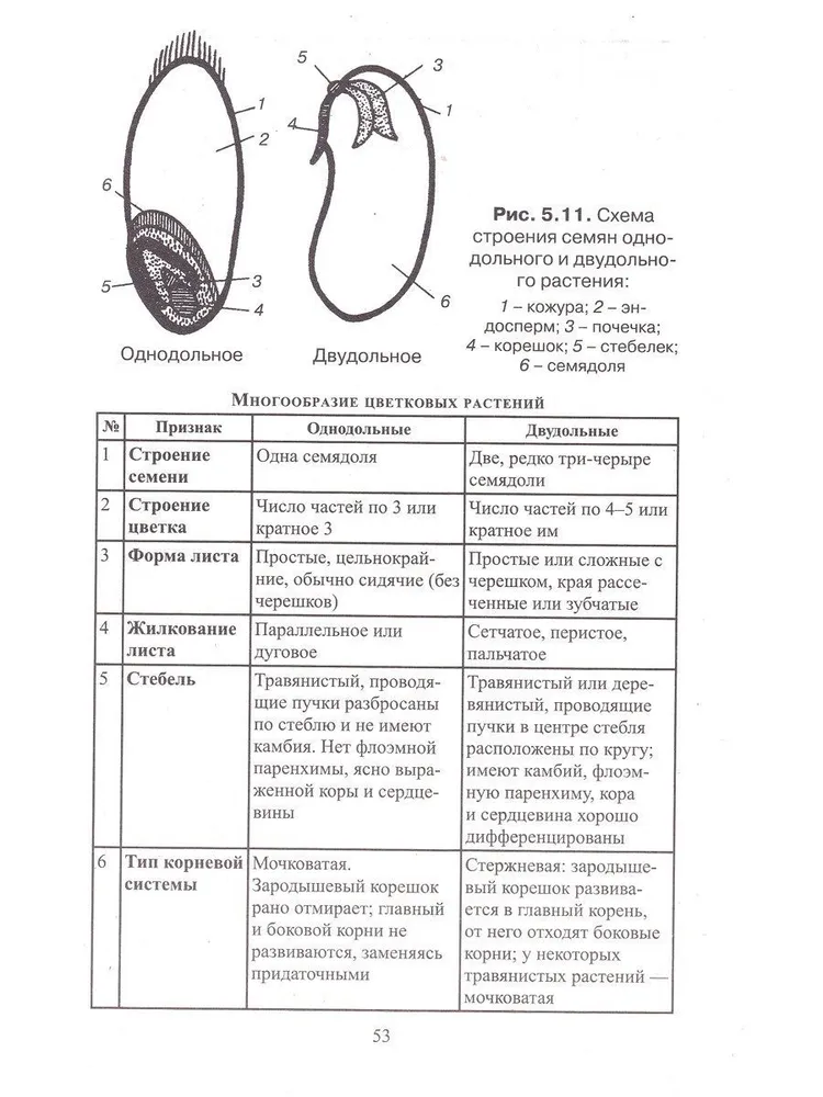 Биология в таблицах, схемах и рисунках