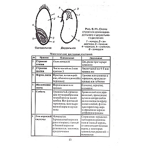 Biologie in Tabellen, Diagrammen und Abbildungen