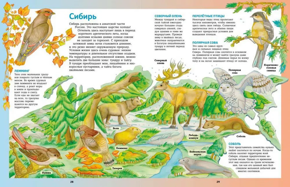 Atlas der Tiere in Bildern. Unterwegs um die Welt