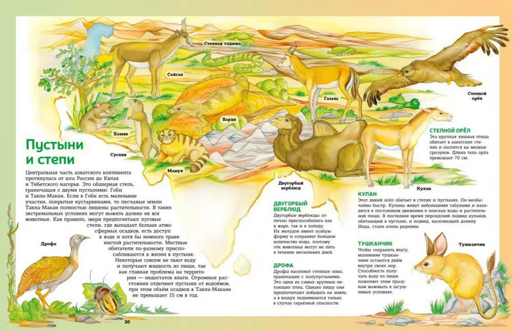 Atlas der Tiere in Bildern. Unterwegs um die Welt