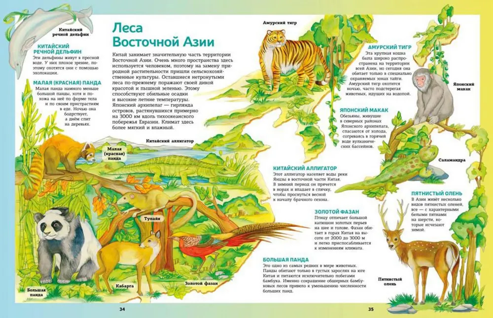 Atlas der Tiere in Bildern. Unterwegs um die Welt