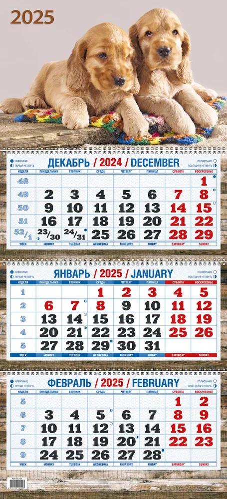 Dreiteiliger vierteljährlicher Wandkalender Zwei Welpen“ 310x680 für 2025