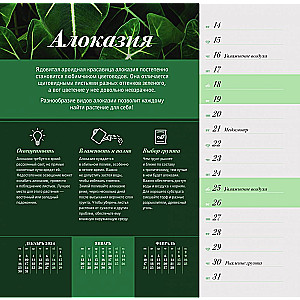 Растущие в темноте. Настенный календарь на 2025 год