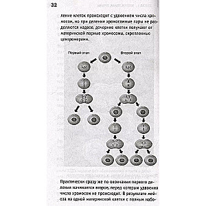 Anatomie. Einen Mann bloßstellen