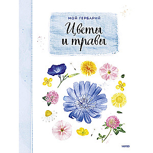 Mein Herbarium. Blumen und Kräuter (neu verpackt)