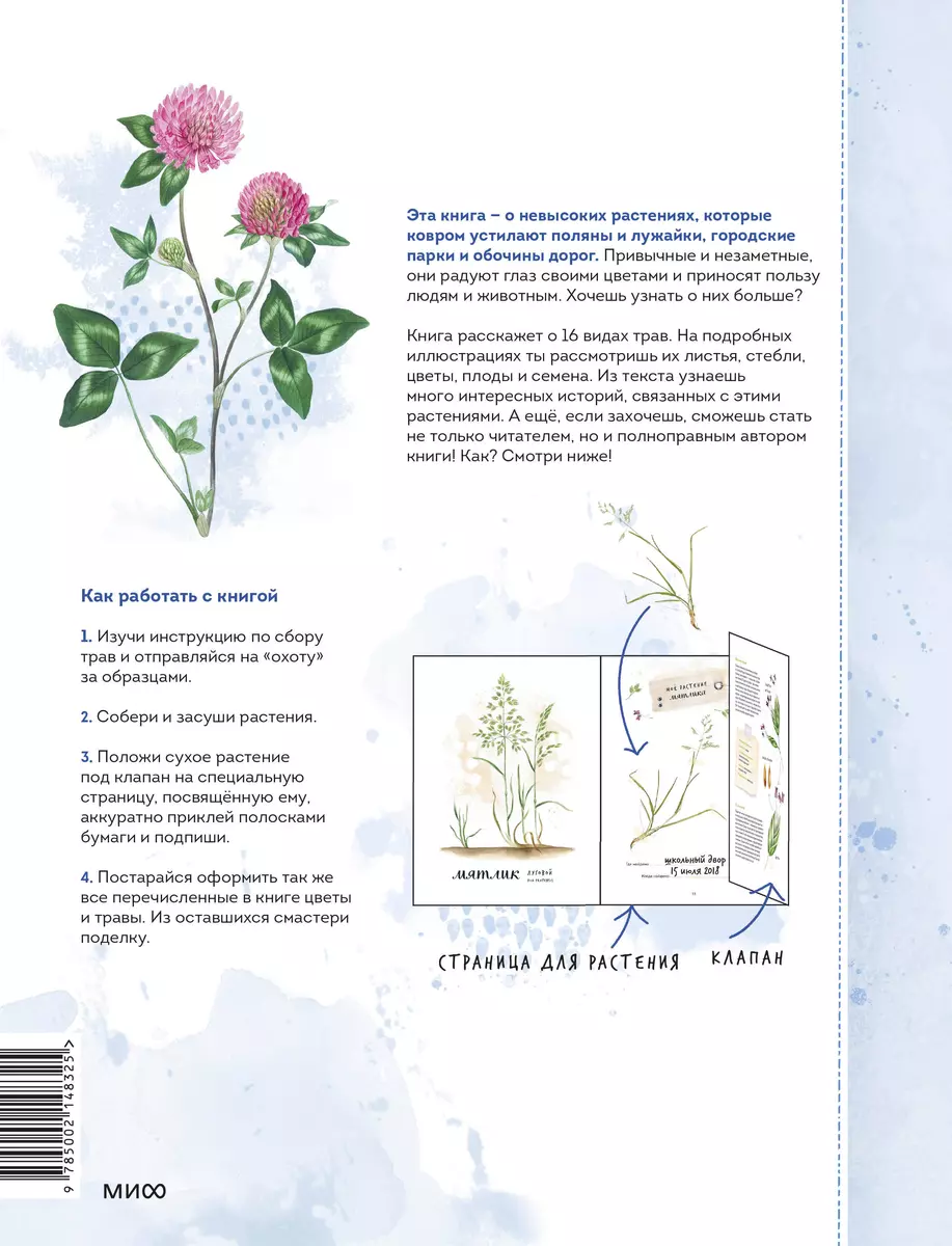 Mein Herbarium. Blumen und Kräuter (neu verpackt)