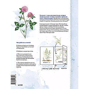 Mein Herbarium. Blumen und Kräuter (neu verpackt)