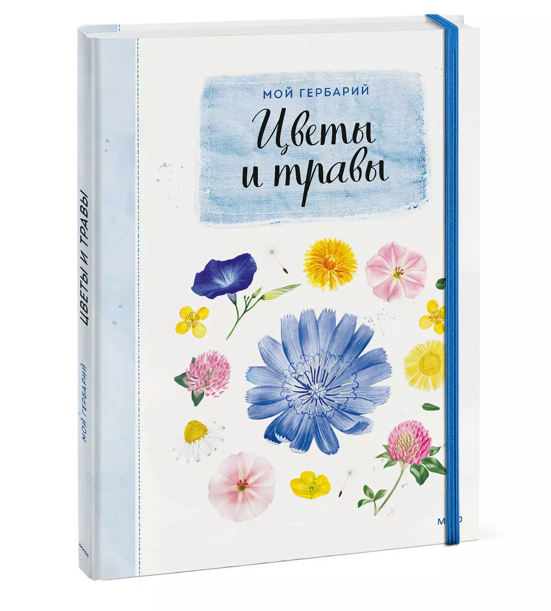 Mein Herbarium. Blumen und Kräuter (neu verpackt)