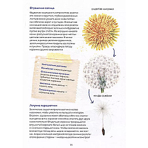 Mein Herbarium. Blumen und Kräuter (neu verpackt)