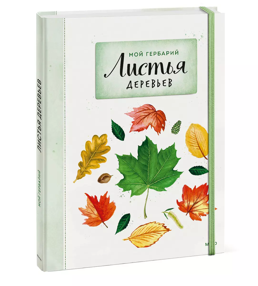 Mein Herbarium. Baumblätter (neu verpackt)