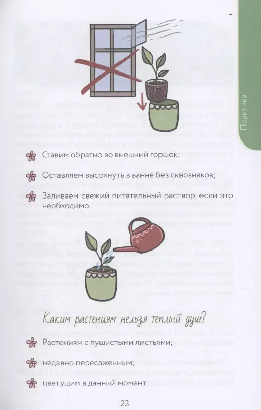 Нетипичный цветовод. Шпаргалка-трекер ухода за комнатными растениями в альтернативном грунте