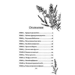 Lagerfeuer aus Lavendel und Lügen